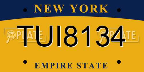 TUI8134 New York License Plate