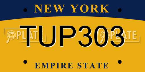 TUP303 New York License Plate