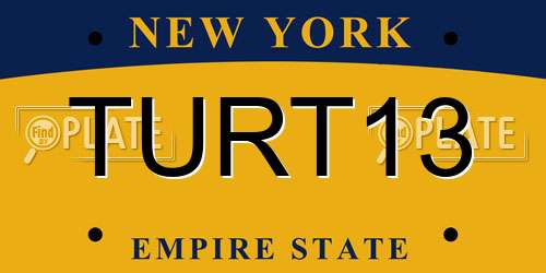 TURT13 New York License Plate