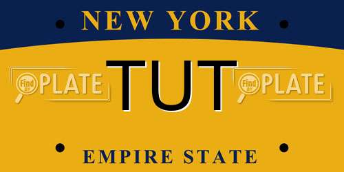 TUT New York License Plate
