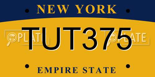 TUT375 New York License Plate