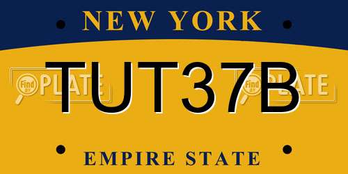 TUT37B New York License Plate