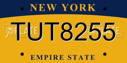 TUT8255 New York License Plate