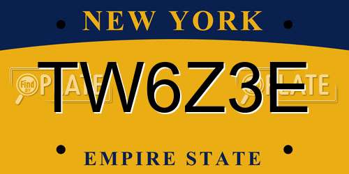 TW6Z3E New York License Plate