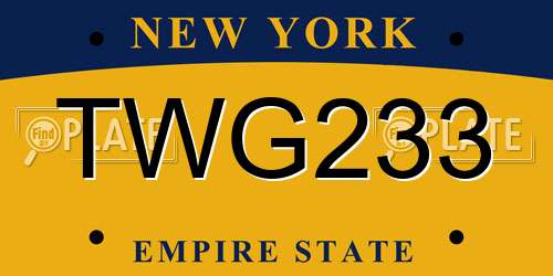TWG233 New York License Plate