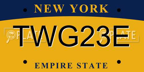 TWG23E New York License Plate