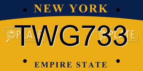 TWG733 New York License Plate