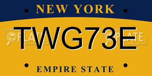 TWG73E New York License Plate