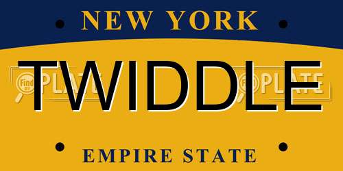 TWIDDLE New York License Plate