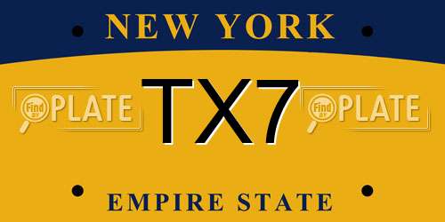 TX7 New York License Plate