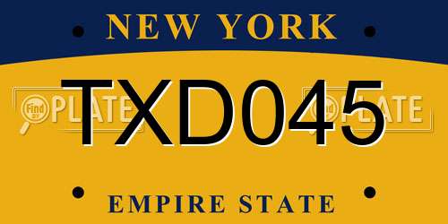 TXD045 New York License Plate