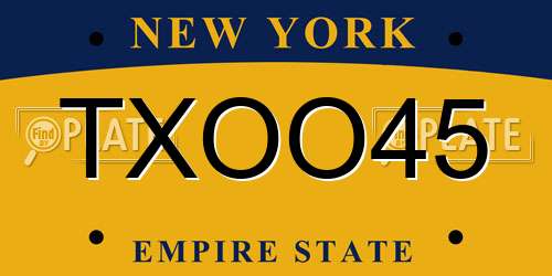 TXOO45 New York License Plate