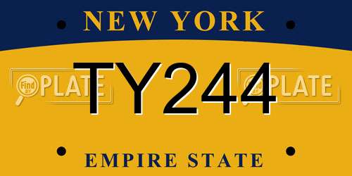 TY244 New York License Plate