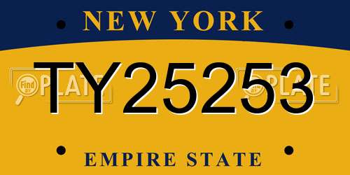 TY25253 New York License Plate