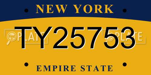 TY25753 New York License Plate