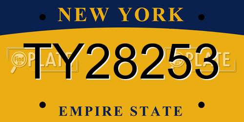 TY28253 New York License Plate