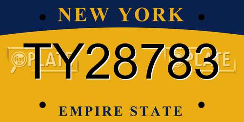 TY28783 New York License Plate