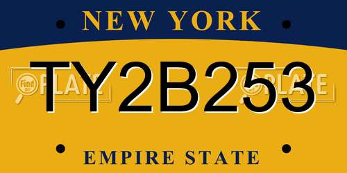 TY2B253 New York License Plate