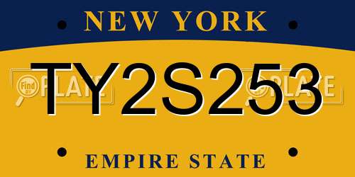 TY2S253 New York License Plate