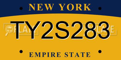 TY2S283 New York License Plate