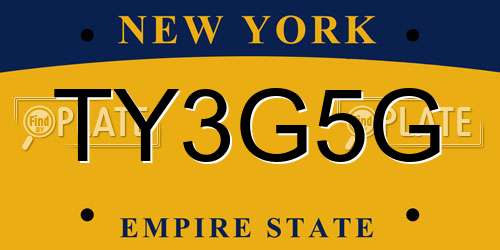 TY3G5G New York License Plate