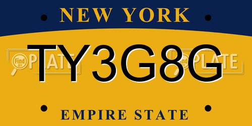 TY3G8G New York License Plate