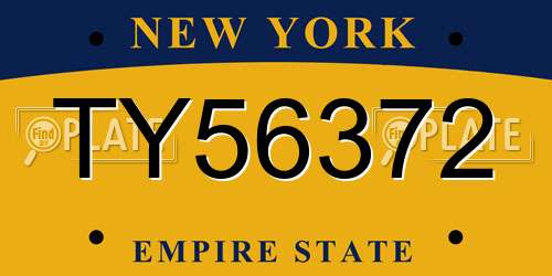 TY56372 New York License Plate
