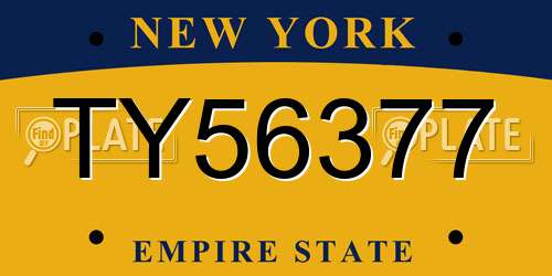 TY56377 New York License Plate