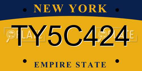 TY5C424 New York License Plate