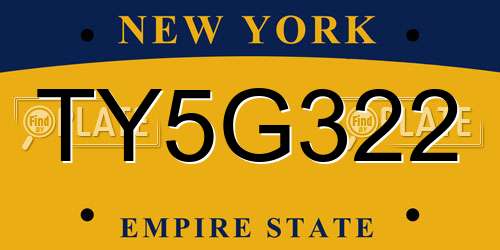 TY5G322 New York License Plate