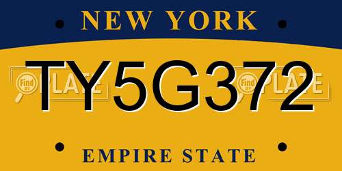 TY5G372 New York License Plate