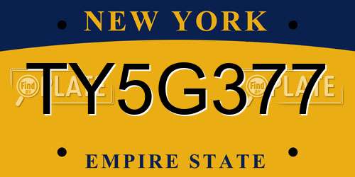 TY5G377 New York License Plate