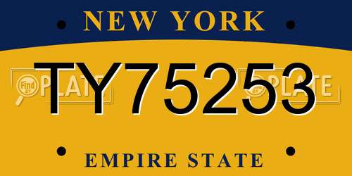 TY75253 New York License Plate