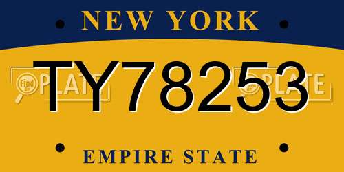 TY78253 New York License Plate