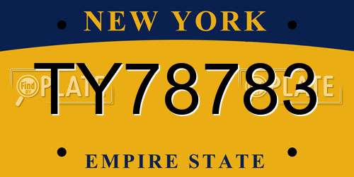 TY78783 New York License Plate