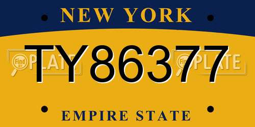 TY86377 New York License Plate