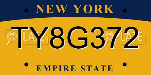 TY8G372 New York License Plate