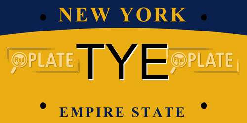 TYE New York License Plate