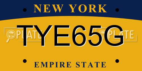 TYE65G New York License Plate