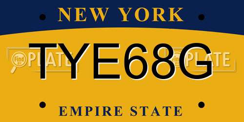 TYE68G New York License Plate