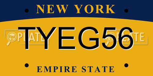 TYEG56 New York License Plate
