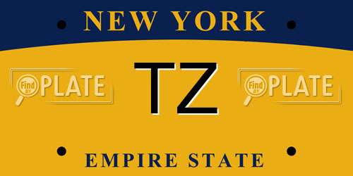 TZ New York License Plate