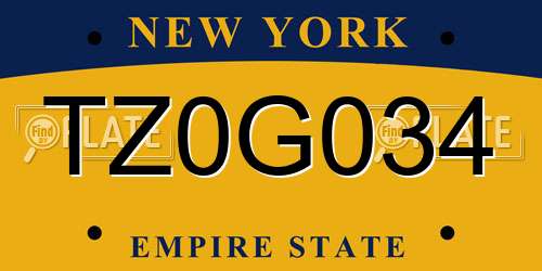TZ0G034 New York License Plate