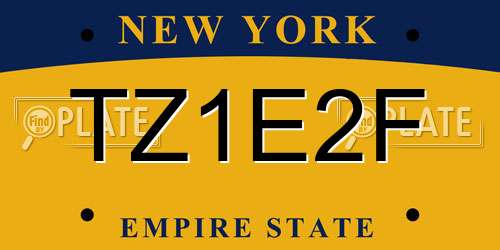 TZ1E2F New York License Plate