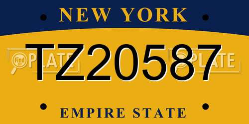 TZ20587 New York License Plate