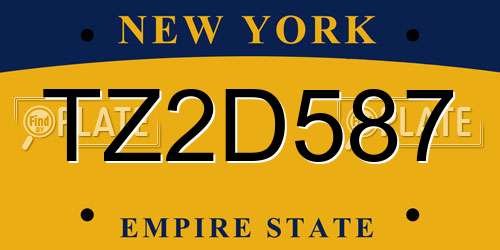 TZ2D587 New York License Plate