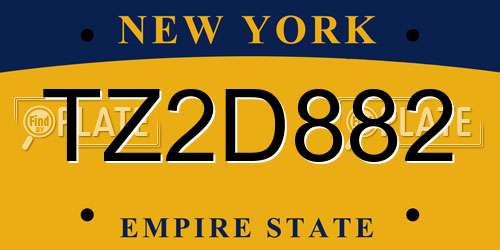 TZ2D882 New York License Plate