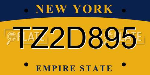 TZ2D895 New York License Plate