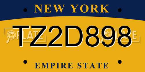 TZ2D898 New York License Plate