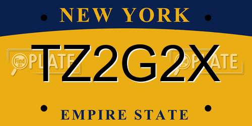 TZ2G2X New York License Plate